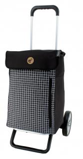 Shoppingtasche Hente mit Kühlfach Einkaufstrolley Alu Star Shopper Andersen