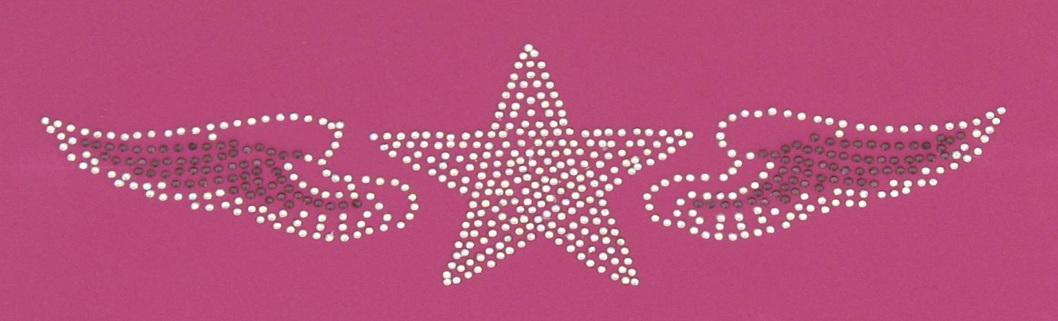 Baccara Friedrich 23 Schmuckkoffer Pink