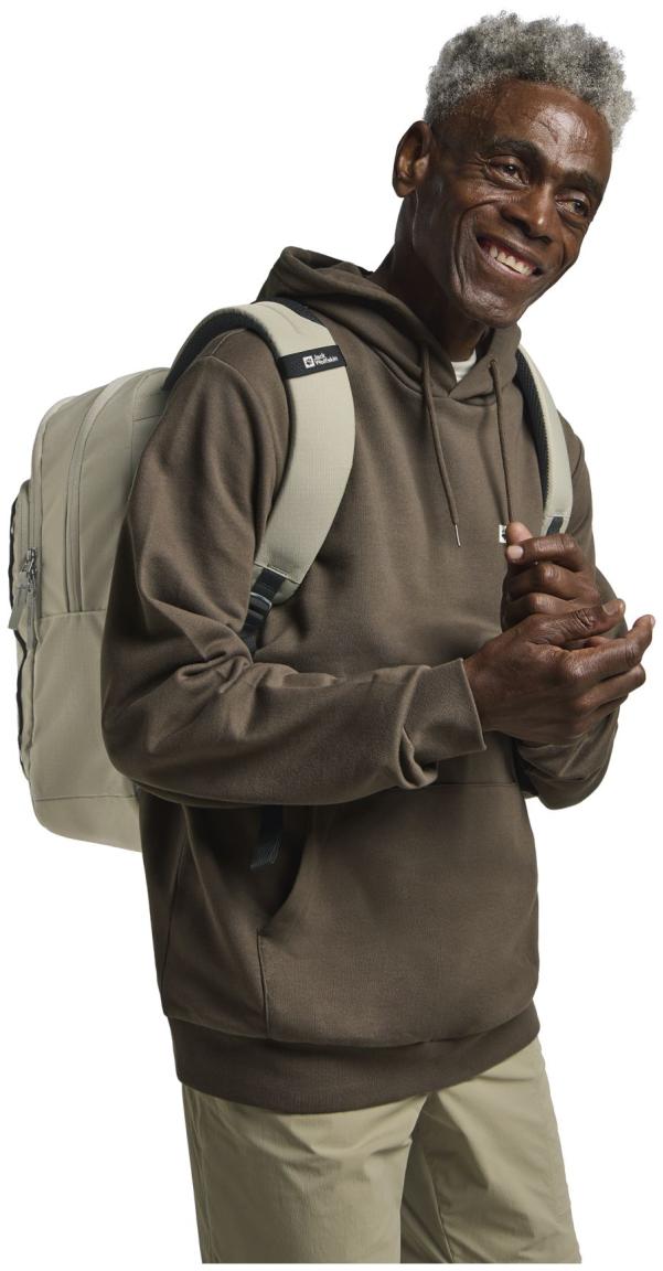 Jack Wolfskin Tagesrucksack Terracade Stone Laptopfach