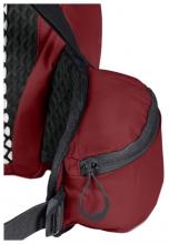 Sportrucksack Cyrox Shape 20 JACK WOLFSKIN Deep Ruby Bluesign