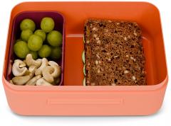 Vesperbox orange dunkelrot Ergobag Tiger BPA-frei Kunststoff