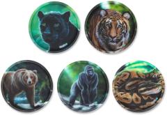 Dschungel Kletties Wildtiere ergobag für Schultasche Set 5-teilig