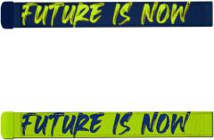 Satch Swaps Future is Now Wechselbänder grün blau